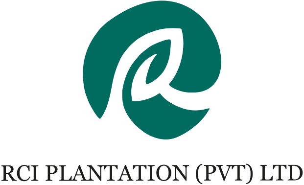 RCI Plantation